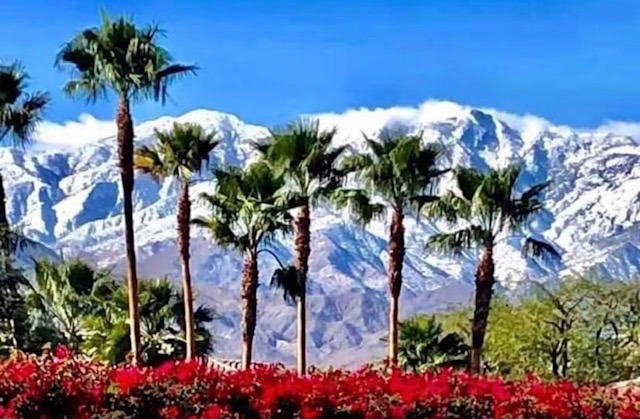 Gated community entrance monument sign in Palm Springs with palm trees and mountain views