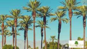 Top 5 Neighborhoods in Palm Desert: Where to Live in 2025